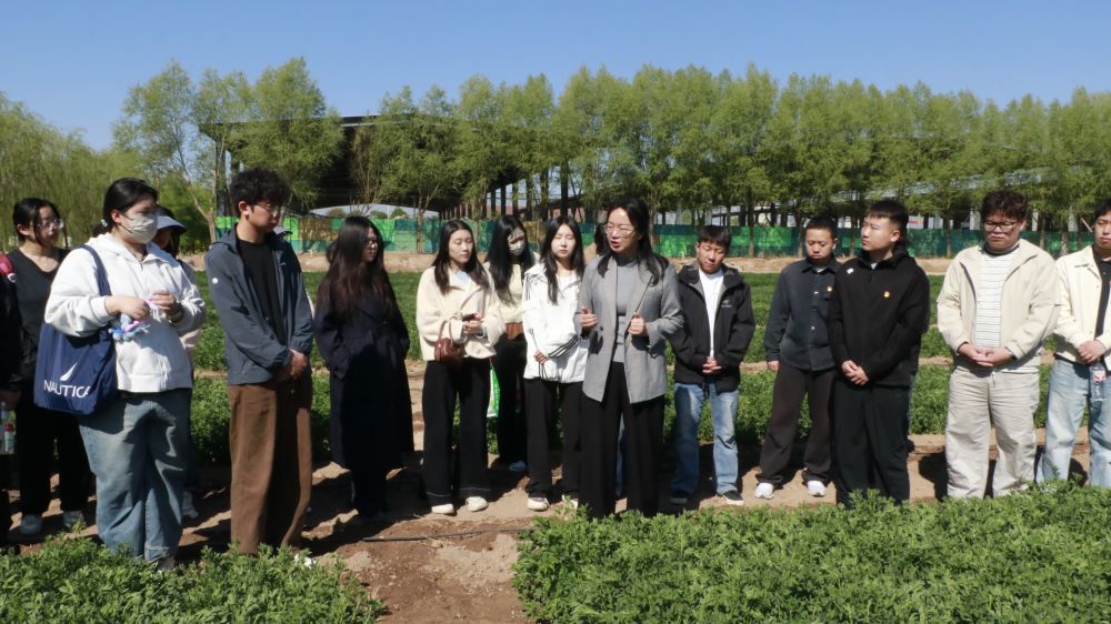 电子与电气工程必赢棋盘官网版APP下