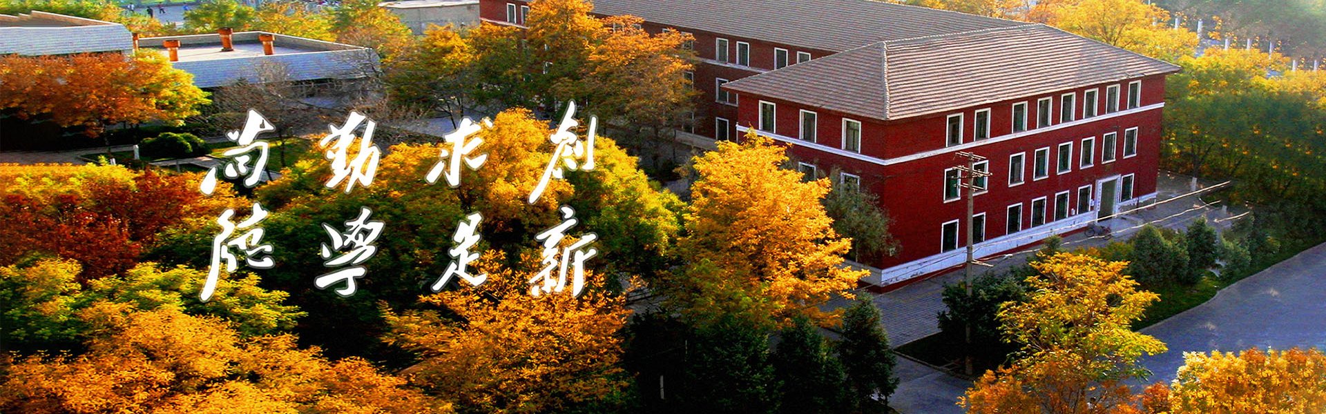 研究生管理信息系统