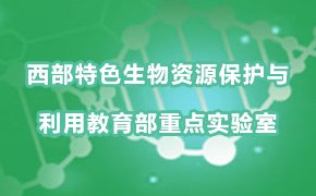 必赢棋盘官网版优惠活动