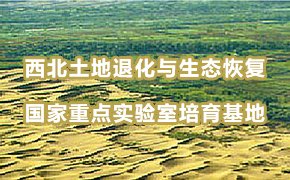 必赢棋盘官网版