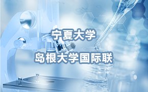 必赢棋盘官网版